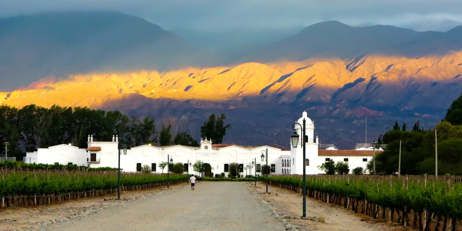White colonial estate and vineyard path with mountains, Salta, Argentina